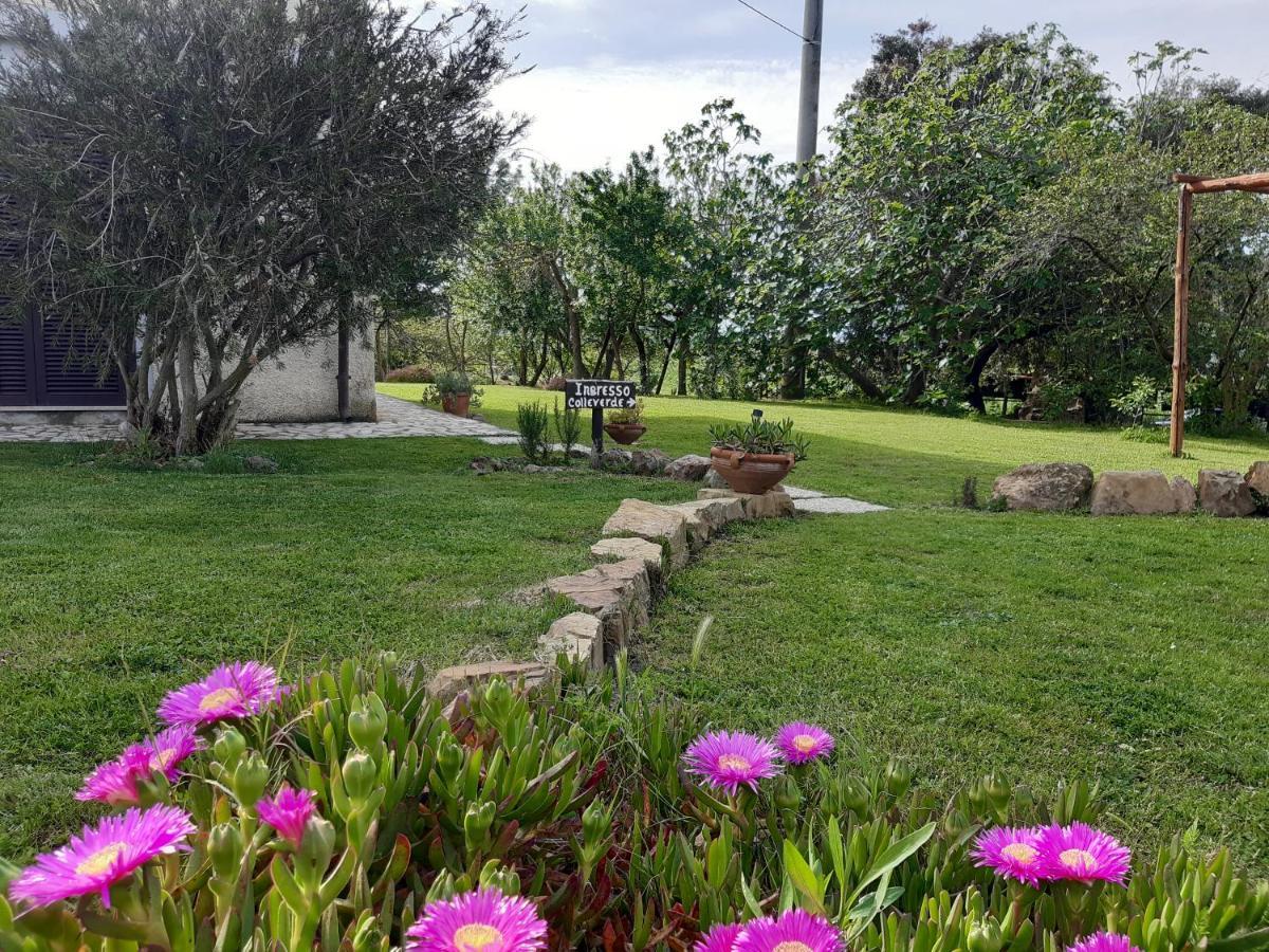Agriturismo Colleverde Capalbio Exterior foto