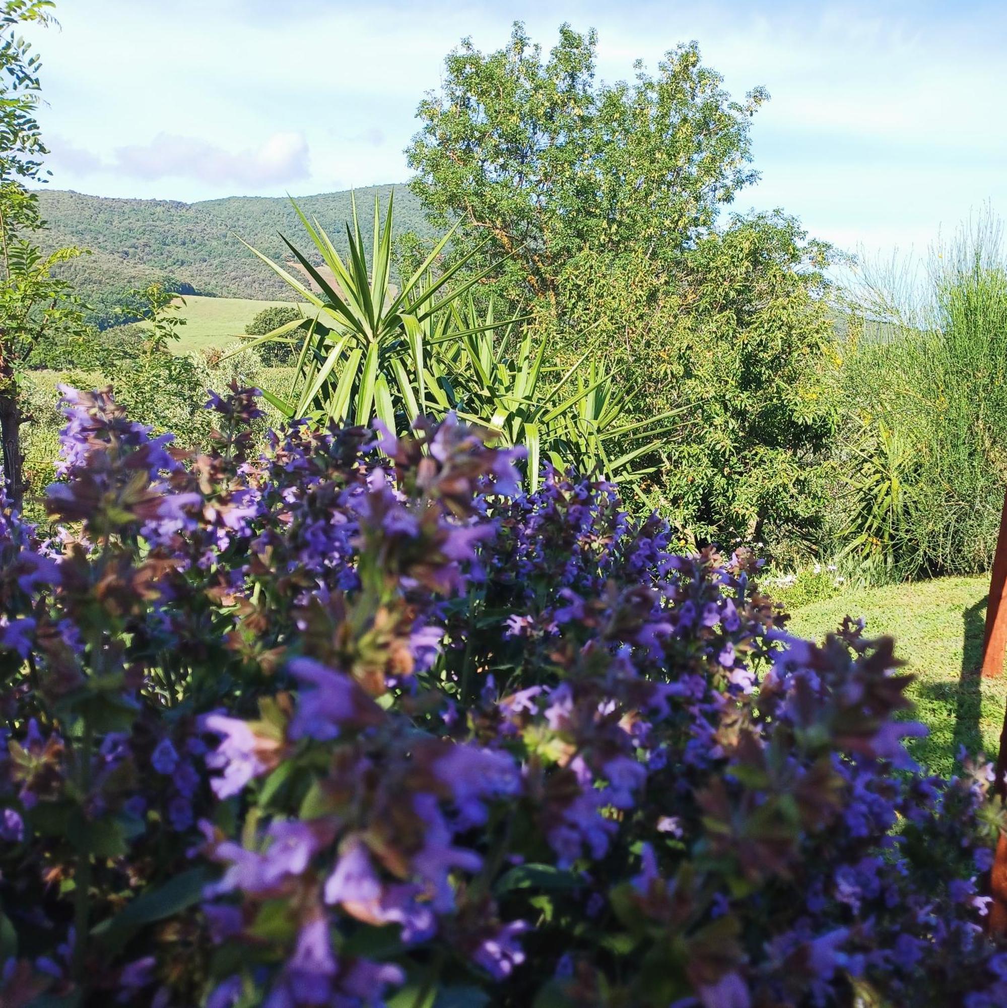 Agriturismo Colleverde Capalbio Exterior foto