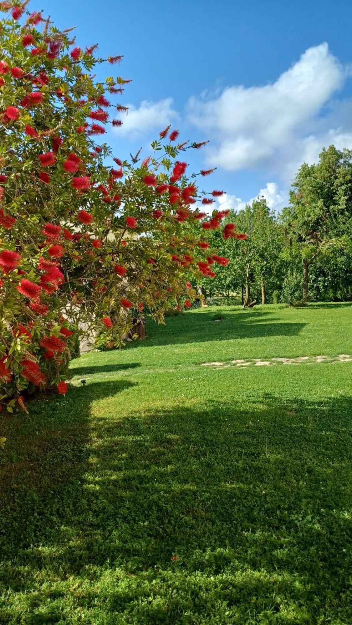 Agriturismo Colleverde Capalbio Villa Exterior foto